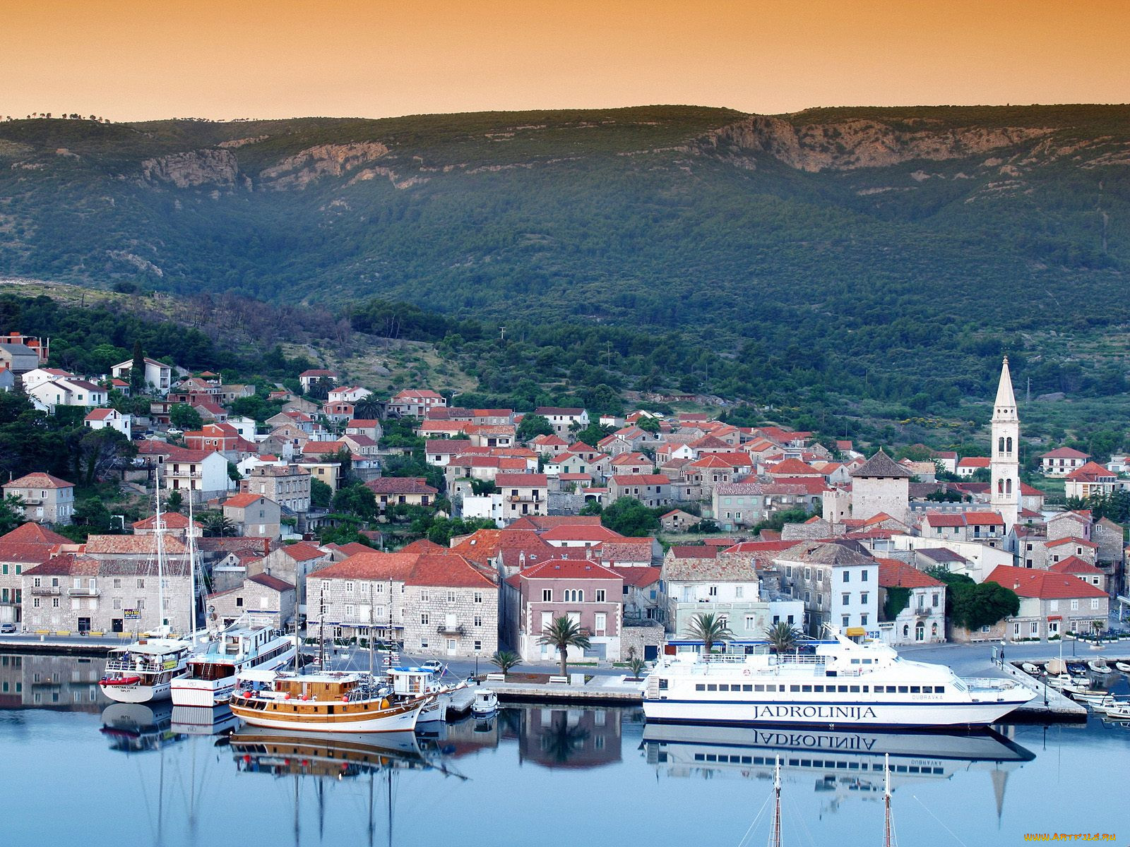 jelsa, hvar, croatia, , 